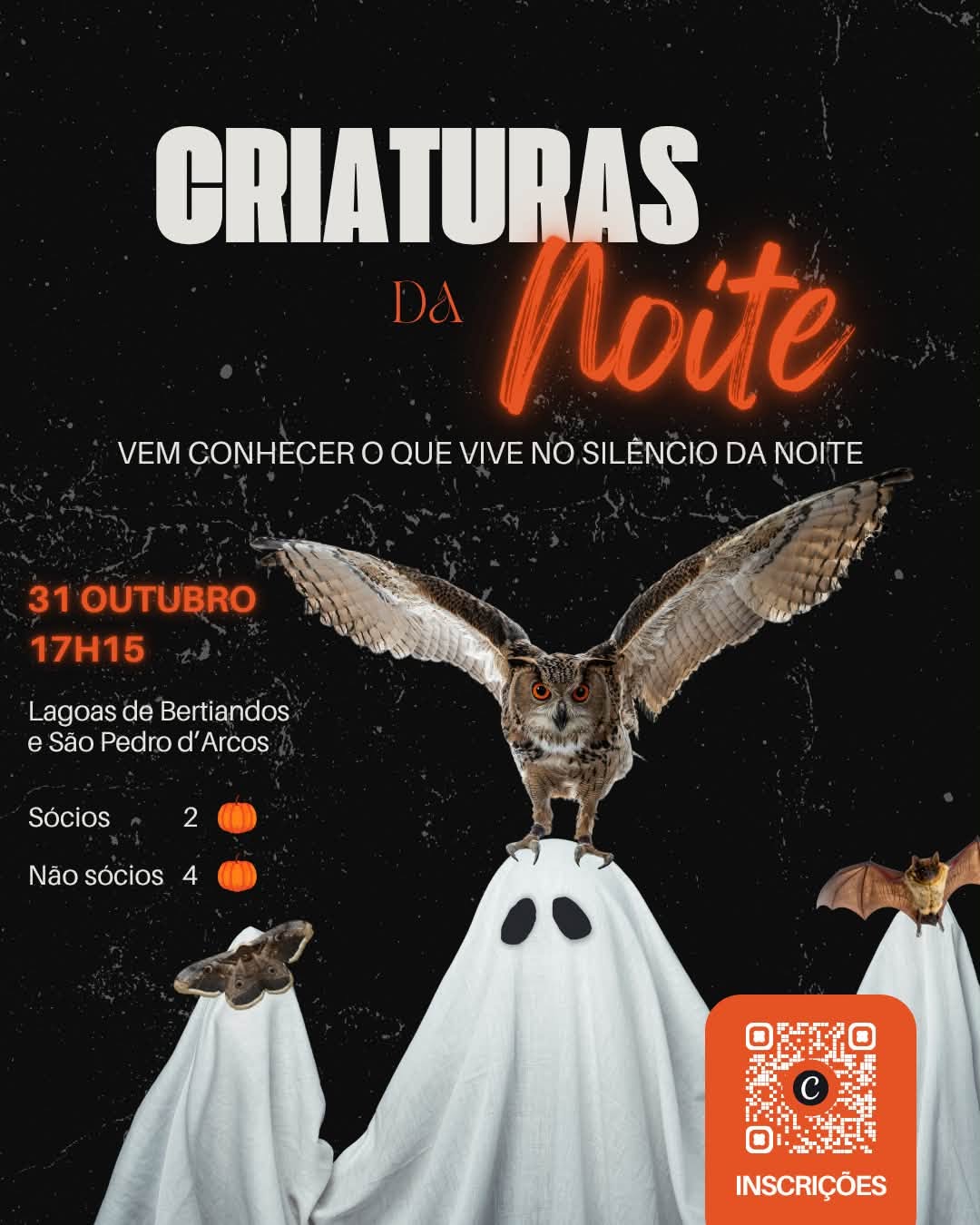 🌙 Criaturas da Noite 🦉🦋🦇